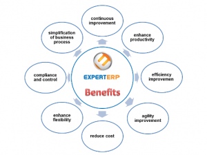 ExpertERP benefits
